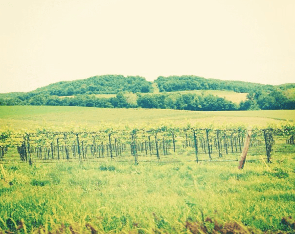 Happy Memorial Day and $1,582 in Extra Income Happy Memorial Day and $1,582 in Extra Income